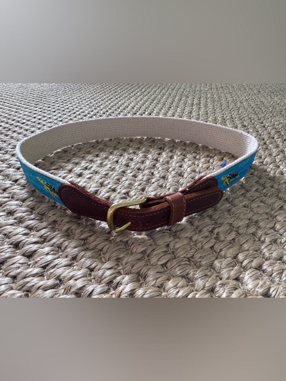 J. Bailey Boys Turtle Belt 26